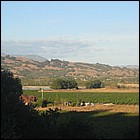 IMG_7347.JPG