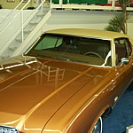 81elvis2.jpg